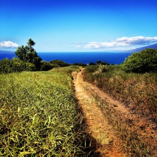 Road to.... Maui